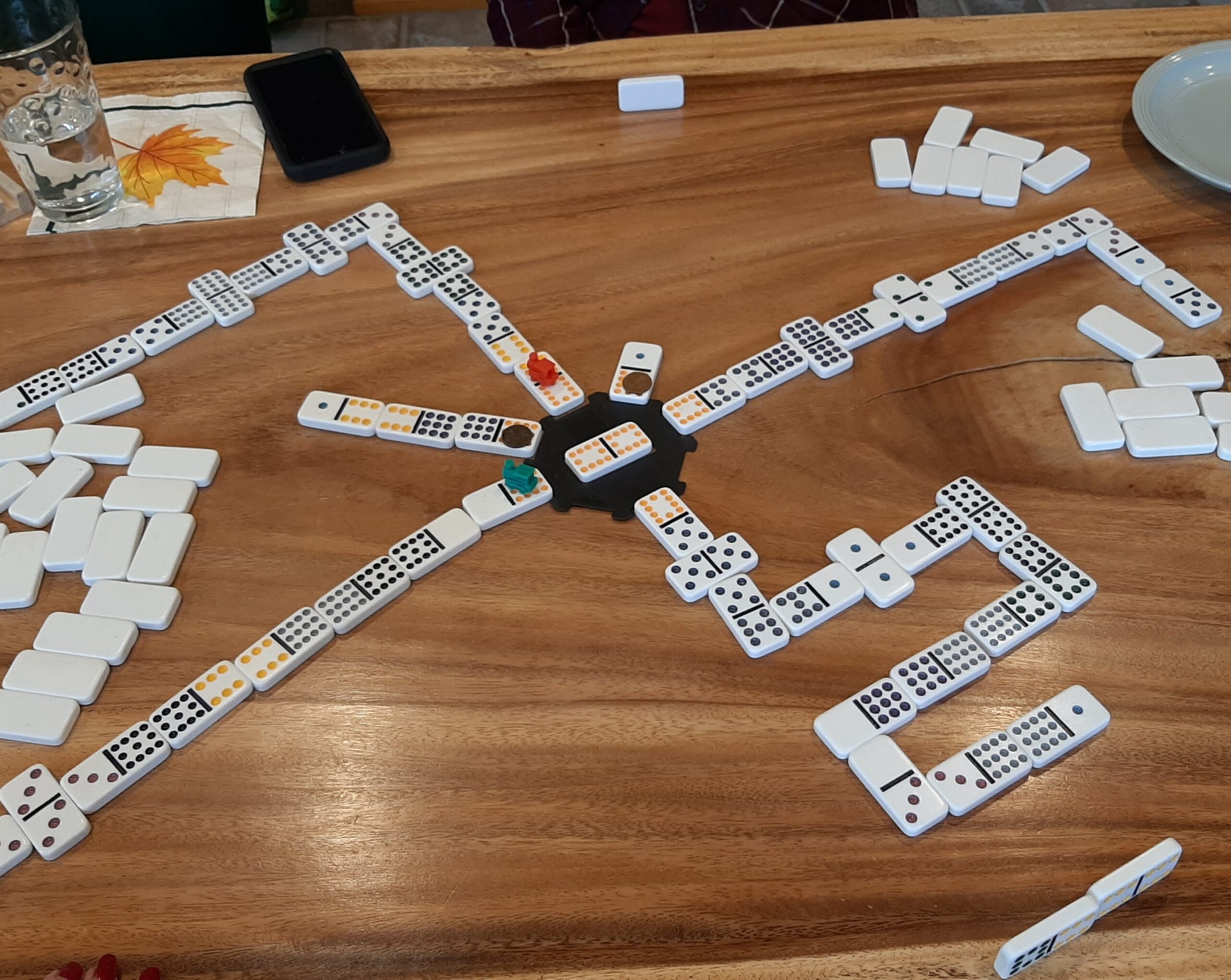Mexican Train (1)